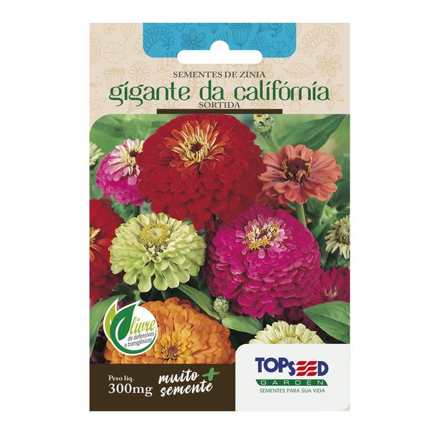 Sementes de Zínia Gigante Califórnia Sortida Tradicional Topseed Garden Único