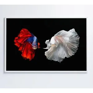 Quadro Peixes Beta 120x80 Cm Tecido Canvas