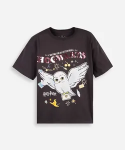 camiseta juvenil oversized harry potter coruja cinza 16