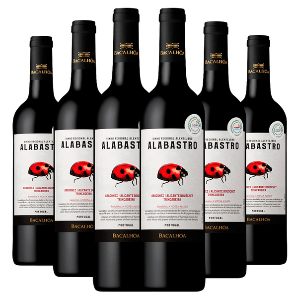 Kit 6 Garrafas Português Alabastro