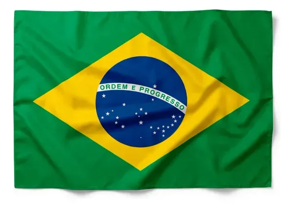 Capa Bandeira Brasil Poliéster 89x5x148cm - bee