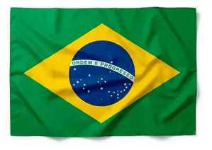 Capa Bandeira Brasil Poliéster 89x5x148cm - bee