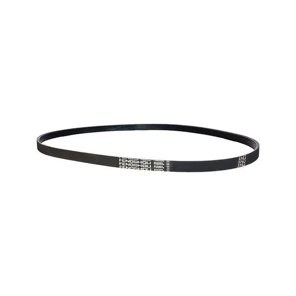 Correia para Bicicleta Ergométrica Magnética Vertical Gallant Elite (350PJ6)
