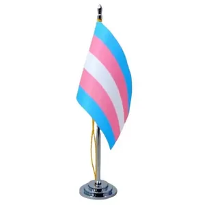 Mini Bandeira De Mesa Transgênero Poliéster 15 Cm Mastro
