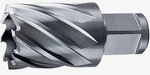 Broca Anular 24mmx30mm Encaixe Weldon -Dewalt