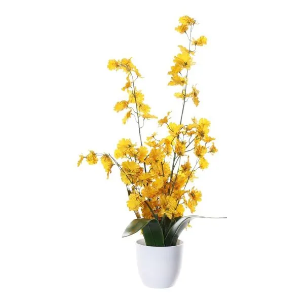 Orquídea Decorativa Concepts Life Amarelo 456-472245