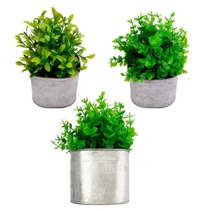 Vaso Plantas Sortido Harmonia Ferro e Plástico PE 11x11x22cm LM3812 - honeyhome