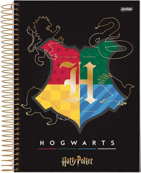 Caderno Universitário 1 Matéria Harry Potter 96 Folhas