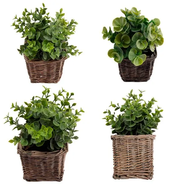Vaso Plantas Sortido Harmonia Videira E Plástico Pe 10,5x10,5x21cm LM3811 - honeyhome