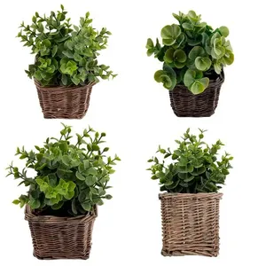 Vaso Plantas Sortido Harmonia Videira E Plástico Pe 10,5x10,5x21cm LM3811 - honeyhome