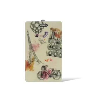 Identificador de Bagagem Estampado Vintage Paris Slooth ROSA