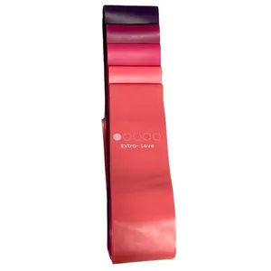 Kit Miniband Faixa Elastica Contem 5 Unidades (MP)