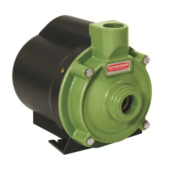 Motobomba 0,75CV Monofáfico 127V Centrífugas - Schneider