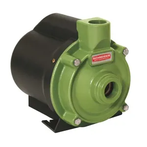 Motobomba 0,75CV Monofáfico 127V Centrífugas - Schneider