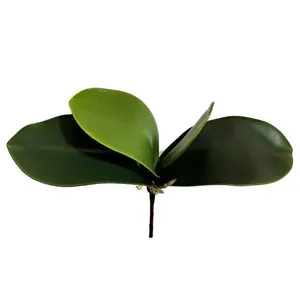 Folha Orquidea Artificial Verde 22 Cm - D'rossi