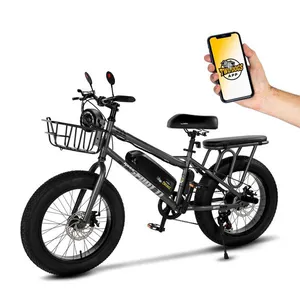 Bicicleta Elétrica Two Dogs Bigfoot T1 750w 48v Aro 20 c/ Alarme e 2 Lugares