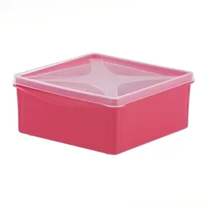 Organizador Multiuso Quadrado Baixo Cores Sortidas 1,3 Litros - 674-2 - TOP LINE