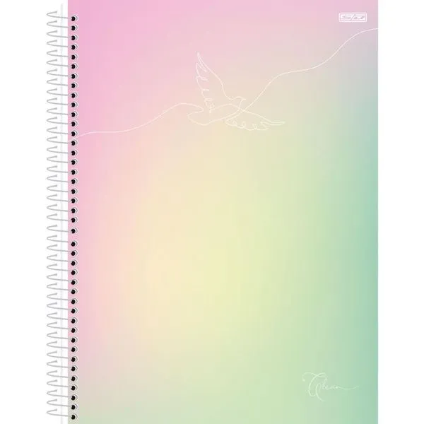 CADERNO 15X1 CAPA DURA CLEAN 240F