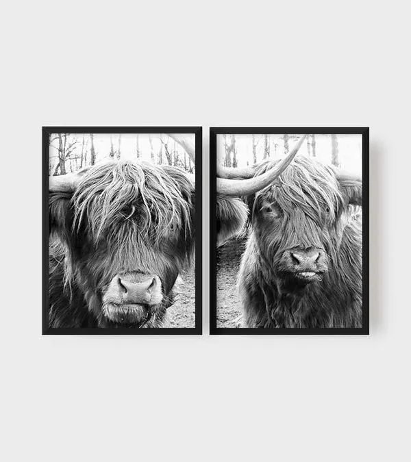Quadro Decorativo Bufalos Preto e Branco Illuminato Kit com 2 Unidades