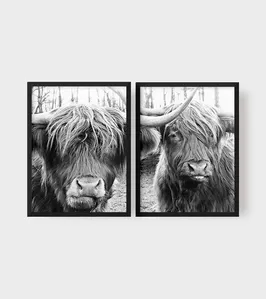 Quadro Decorativo Bufalos Preto e Branco Illuminato Kit com 2 Unidades