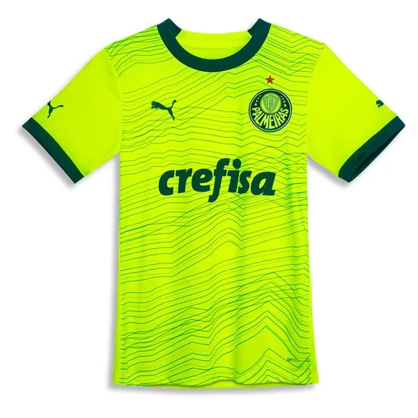 Camisa Palmeiras Puma III 23/24 - Feminino - G