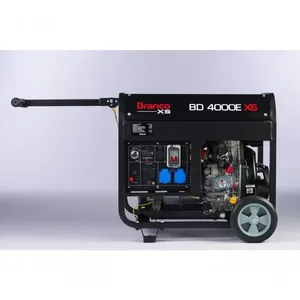 Gerador Diesel 4,0kva Mono C/ Avr Bd4000 Briggs Branco