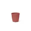 Vaso Aquarela Cilíndrico Nutriplan Rosa Pêssego 1,5cm