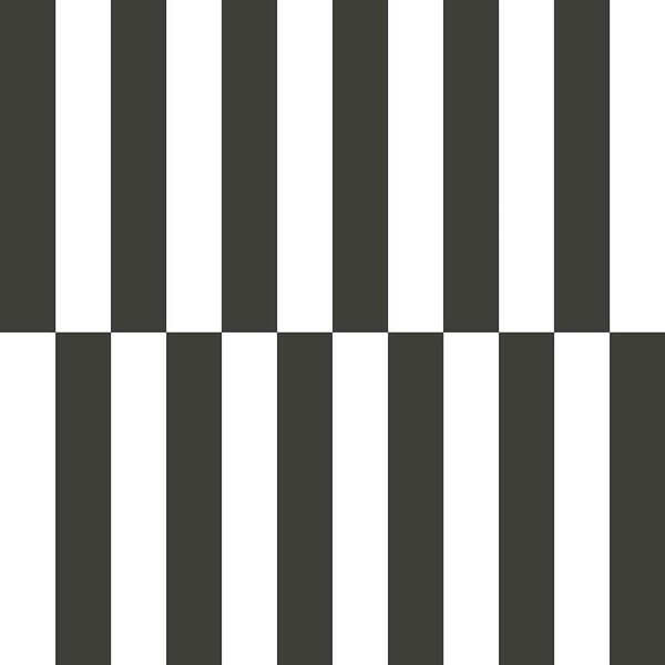 Papel de Parede Botany House Ritmo Preto 15552