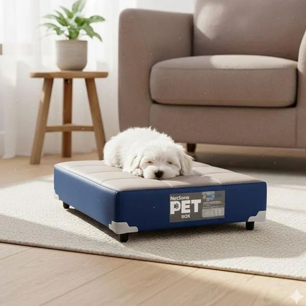 Cama Pet Netsono Cinza e Azul para Cachorro de Porte Pequeno com Espuma D20 60x40x12cm Cama Pet Netsono Cinza e Azul Cachorro Pequeno Espuma D20 60x40x12cm