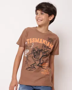 Camiseta Juvenil Algodão Texturizado Estampa Taz Marrom 16