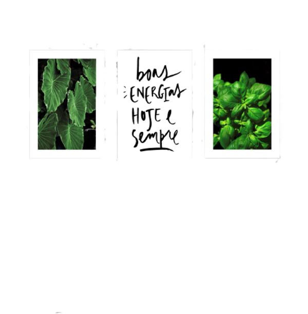 Placas mdf plantas 3 un