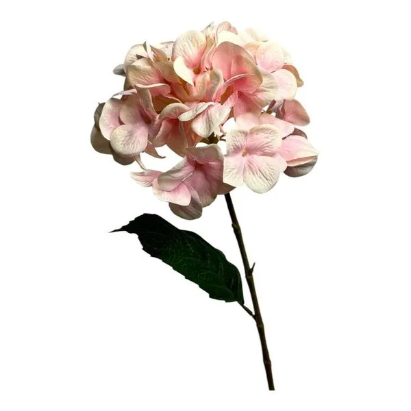 Hortênsia Decorativa Concepts 456-513254