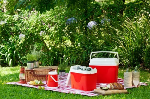 Caixa Térmico 20 Litros Garden Life