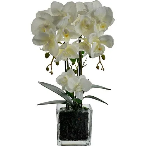 Orquídea com Vaso Decorativo Concepts Life Branco 449-3710032