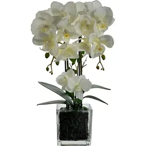 Orquídea com Vaso Decorativo Concepts Life Branco 449-3710032