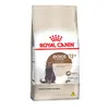 Ração Royal Canin para Gatos Adultos Castrados Acima de 12 anos 4 kg