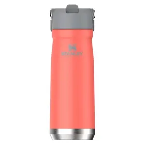 Garrafa Térmica Stanley Flip Straw Guava 651ml