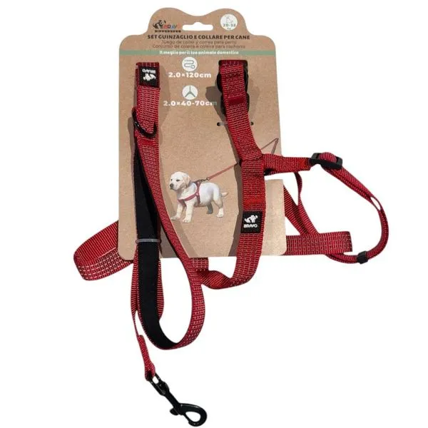 Peitoral E Guia Para Cães Bravo Mascotes G 2,0x120cm P 2,0x40-70cm (MP)