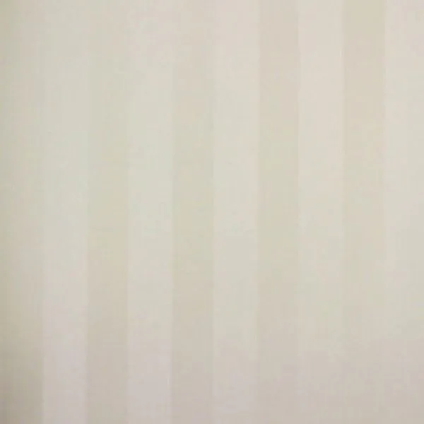Papel De Parede Listrado Classic Stripes Ct889073 Vinílico - Rolo 10m X 0,53m