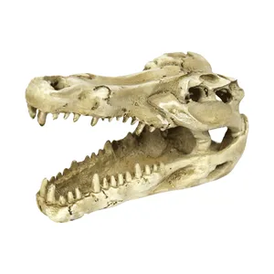 Enfeite Crânio de Crocodilo NomoyPet Único