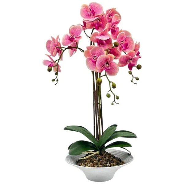 Orquídea Decorativa Concepts Life 456-55418
