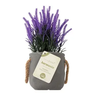 Vaso Alças Planta Harmonia Plástico 10x10x25cm LM3722 - honeyhome