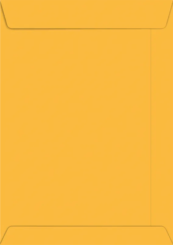 Envelope Saco Kraft Ouro Com 10 Envelopes 229x324cm - Foroni