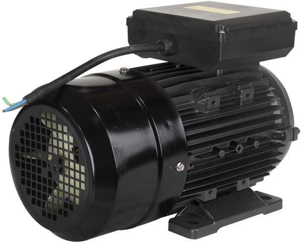 Motor Elétrico Monofásico Lynus IP44 2 Polos 2CV Bivolt