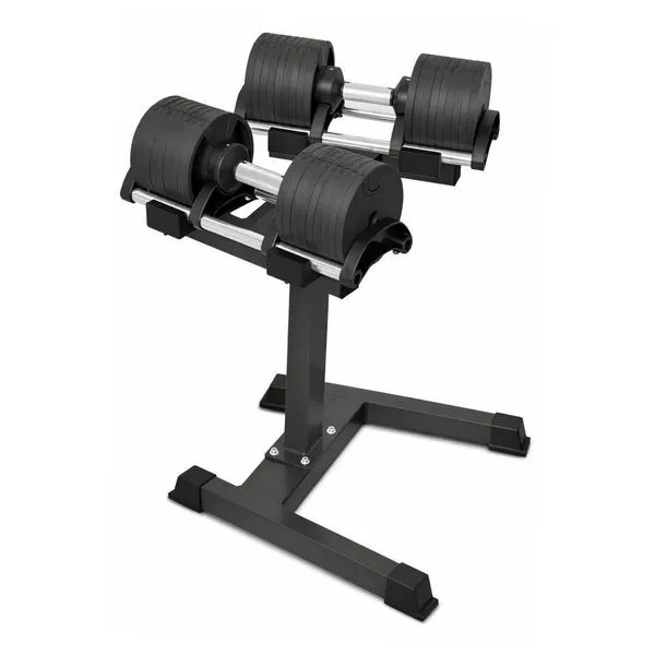 Kit Dumbell Ajustável 32kg Ahead Sports Com Suporte Rack Profissional