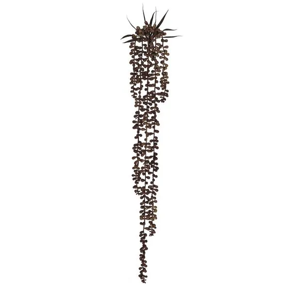 Pendente Suculenta Florarte 72cm 5 Galhos Marrom