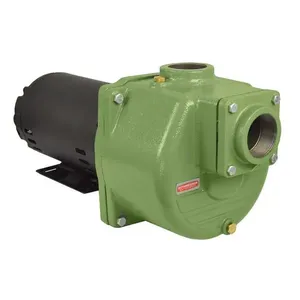 Motobomba Auto Aspirante 2,0cv 127V~/220V~ 2" x 2" BCA-40 SCHNEIDER
