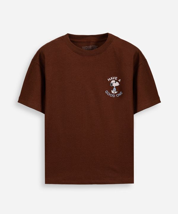 camiseta infantil com algodão texturizada snoopy marrom 4