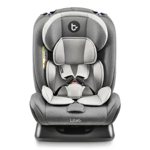 Cadeira Para Auto 0-36 Kg Litet Mass Cinza - BB457 BB457