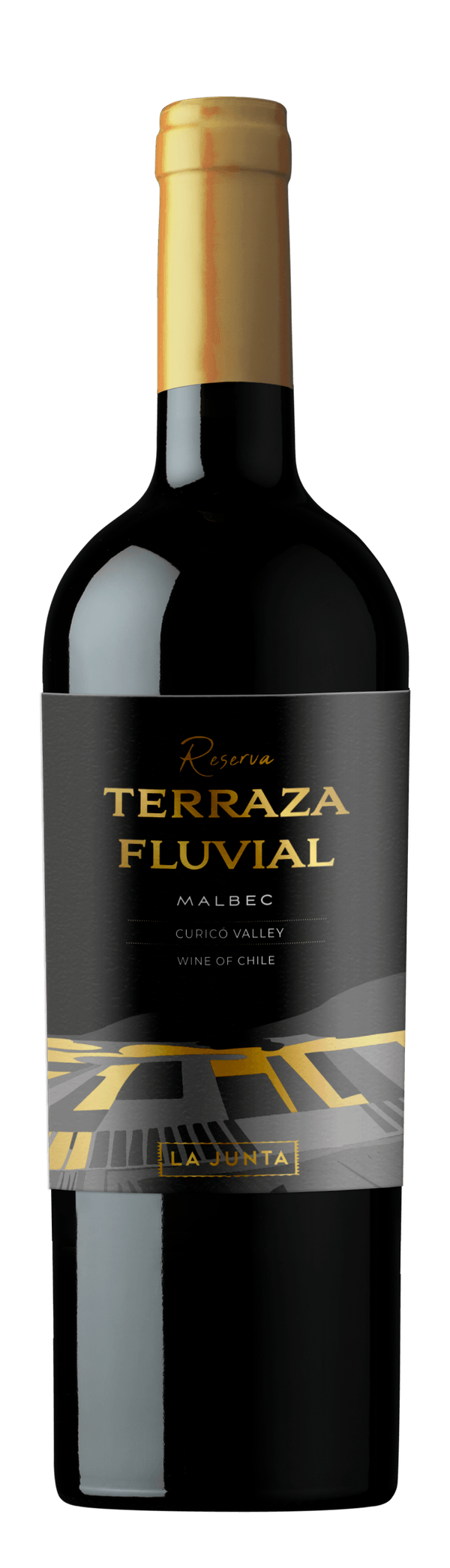 Vinho Tinto Chileno Terraza Fluvial Reserva Malbec